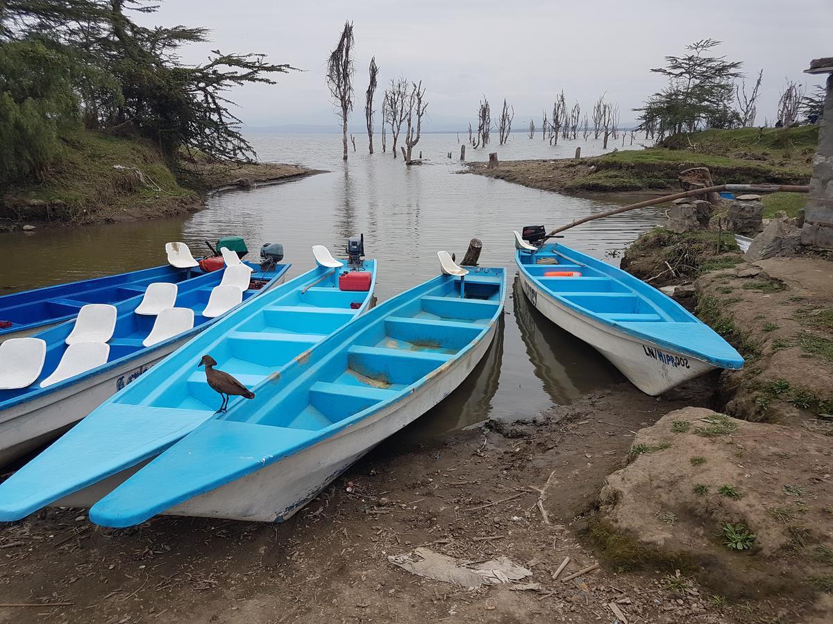 Hippo Safaris Resort 奈瓦沙 外观 照片