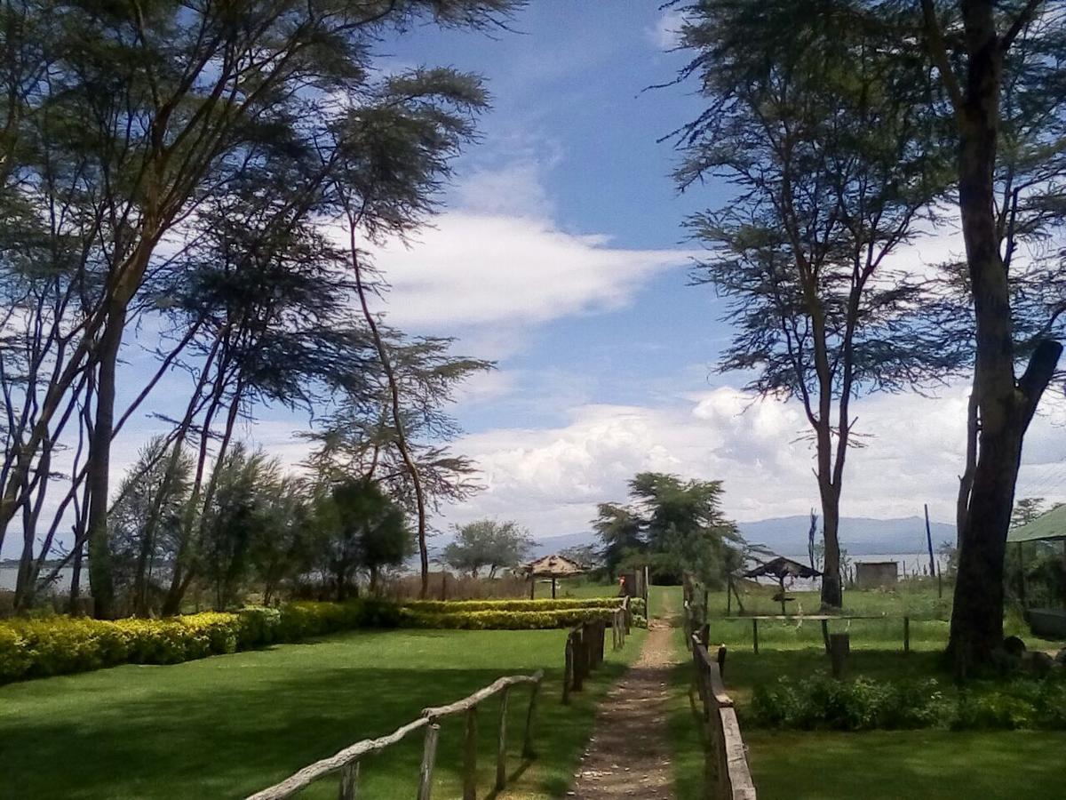 Hippo Safaris Resort 奈瓦沙 外观 照片